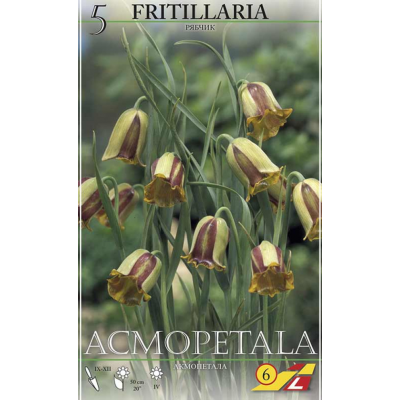 Семена Фритиллярия acmopetala (Lefeber)