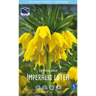 Семена Фритиллярия imperalis Lutea (Lefeber)