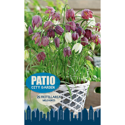 Семена Фритиллярия Meleagris (серия Patio City Garden) (20 шт. в упак.) (R. De Ree)