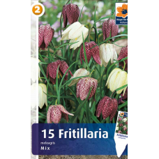 Семена Фритиллярия Meleagris Mix (R. De Ree)