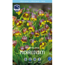 Семена Фритиллярия michailovskyi (Lefeber)