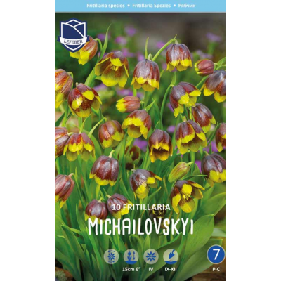 Семена Фритиллярия michailovskyi (Lefeber)