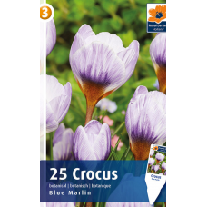 Семена Крокусы Blue Marlin (R. De Ree)