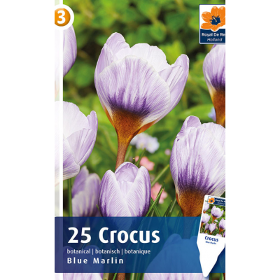 Семена Крокусы Blue Marlin (R. De Ree)