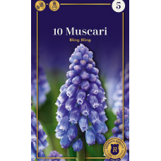 Семена Мускари Bling Bling (R. De Ree)