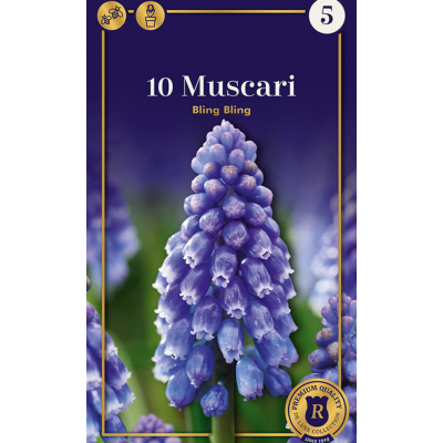 Семена Мускари Bling Bling (R. De Ree)