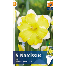 Семена Нарциссы Plant America (R. De Ree)