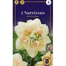Семена Нарциссы Pom Pom Rose (R. De Ree)