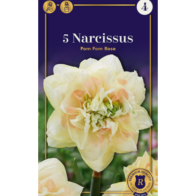 Семена Нарциссы Pom Pom Rose (R. De Ree)