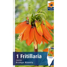 Семена Фритиллярия Imperialis Orange Beauty (R. De Ree)