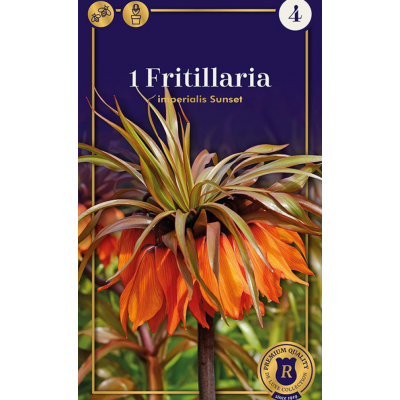 Семена Фритиллярия imperialis Sunset (R. De Ree)