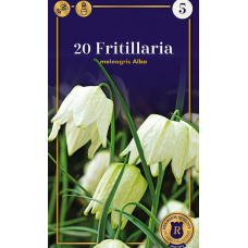 Семена Фритиллярия meleagris Alba (R. De Ree)