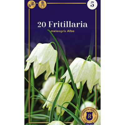 Семена Фритиллярия meleagris Alba (R. De Ree)