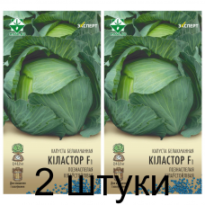 Семена. Капуста б/к Киластор F1 12шт (Эксперт) -2шт