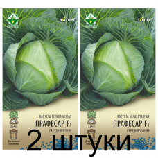 Семена. Капуста б/к Профессор F1 12шт (Эксперт) -2шт