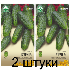 Семена. Огурец Бьерн F1 10шт (Эксперт) -2шт