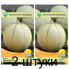 Семена. Дыня Малага F1 6шт -2шт