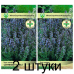 Иссоп лекарственный Синецветковый 0,2г (Q-Agro, Германия) -2шт
