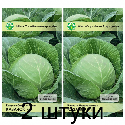 Семена. Капуста б/к Казачок F1 0.1г -2шт