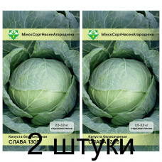 Семена. Капуста б/к Слава 1305  0.5г -2шт