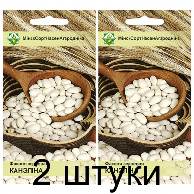 Фасоль зерновая кустовая Каннеллино, 7г (Galassi Sementi, Италия) -2шт