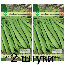 Фасоль спаржевая вьющаяся Некарская королева, 10 семян (Satimex, Германия) -2шт