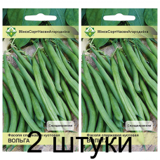 Фасоль спаржевая кустовая Ольга, 7г (Satimex, Германия) -2шт