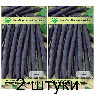 Фасоль спаржевая кустовая Пурпурная королева, 7г (Galassi Sementi, Италия) -2шт