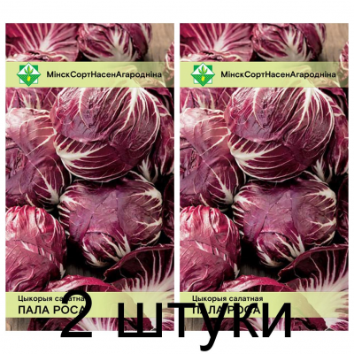 Цикорий салатный Палла Росса 0,2г (Satimex, Германия) -2шт