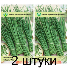 Семена. Лук-шнитт Медонос 0.5г -2шт