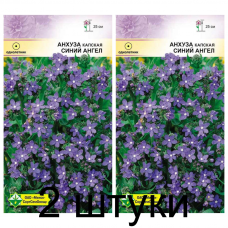 Семена. Анхуза капская Синий ангел 0.2г -2шт