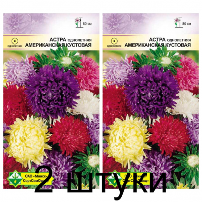 Семена. Астра Американская кустовая см 0.3г -2шт
