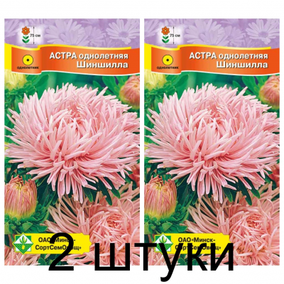 Семена. Астра Краллен Шиншилла 0.3г -2шт
