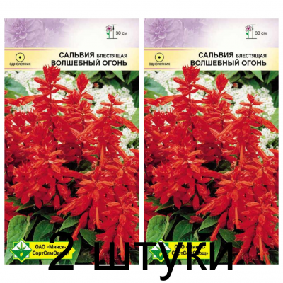 Семена. Сальвия блестящая Волшебный огонь 0.1г -2шт