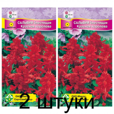 Семена. Сальвия блестящая Красная королева 0.1г -2шт