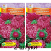 Астра карликовая китайская Красная лента 0,1г (Satimex, Германия) -2шт