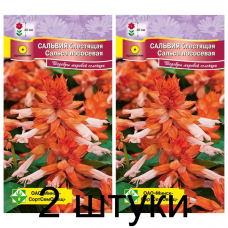 Сальвия блестящая Сальса лососевая, 10 семян (Cerny Seed, МССО) -2шт