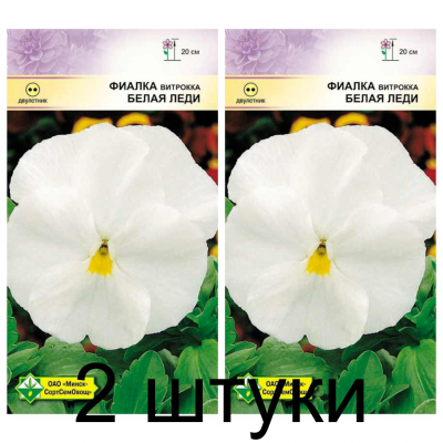 Семена. Фиалка Витрокка Белая леди 0.1г -2шт