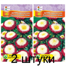 Семена. Астра Помпонная Красная с белым 0.3г -2шт