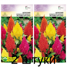 Семена. Целозия перистая Летние костры см 0.2г -2шт