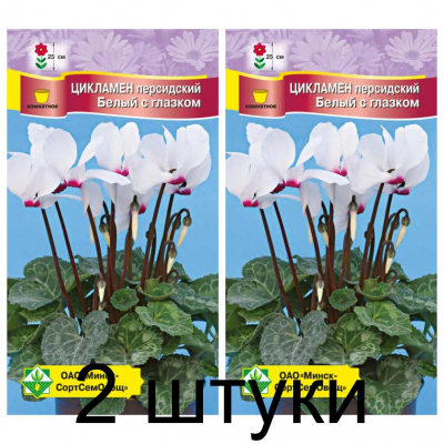 Семена. Цикламен персидский Белый с глазком 4шт -2шт