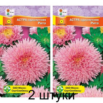 Астра срезочная Принцесса Рита серебристо-розовая 0,3г (Satimex, Германия) -2шт