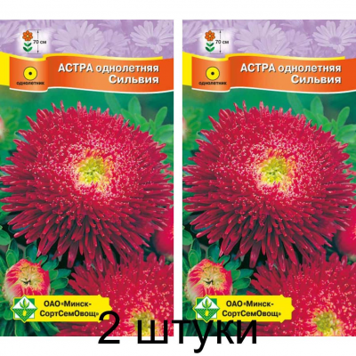 Астра срезочная Принцесса Сильвия темно-малиновая 0,3г (Satimex, Германия) -2шт
