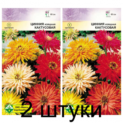 Семена. Цинния изящная Кактусовая см 0.5г -2шт