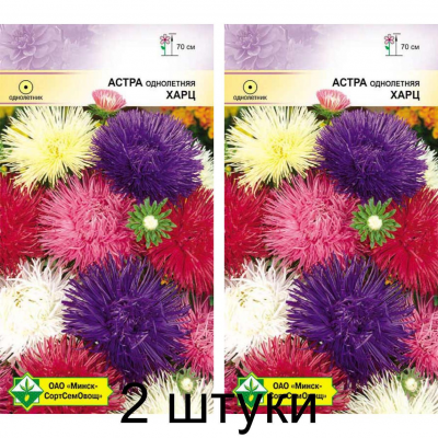 Астра Харц, смесь сортов 0,3г (Satimex, Германия) -2шт