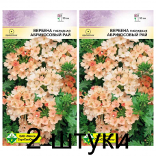 Семена. Вербена гибридная Абрикосовый рай 0.1г -2шт