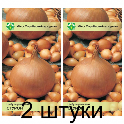 Лук Стурон полуоострый 0,5г -2шт (Satimex - МинскСортСемОвощ)