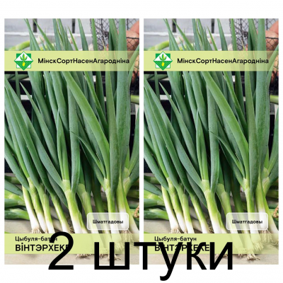 Семена. Лук-батун Винтерхеке 0.5г -2шт