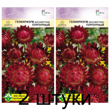 Семена. Гелихризум прицв Пурпурный 0.2г -2шт