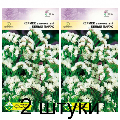 Семена. Кермек выемчатый Белый парус 0.15г -2шт